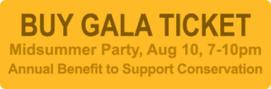Purchase Gala 2019 Tickets