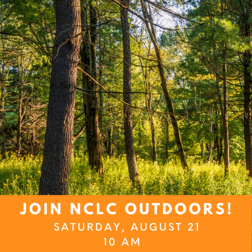 Mount Tom Hike Northwest Connecticut Land Conservancy