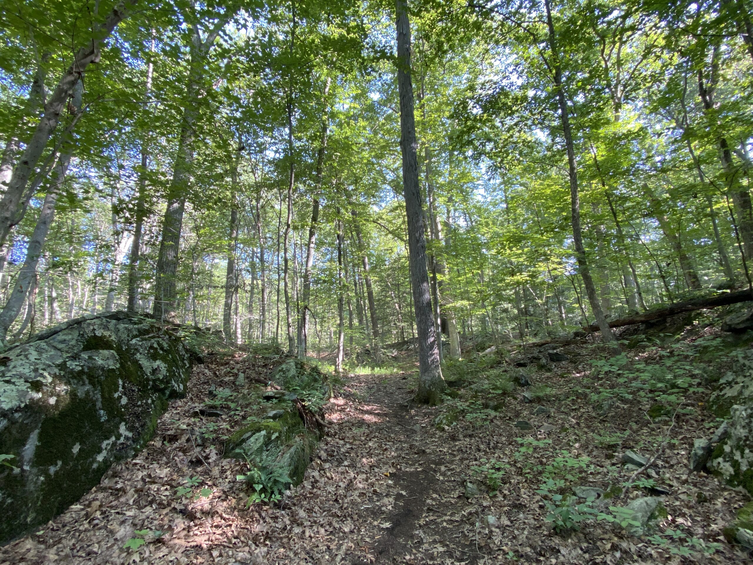 The Ledges