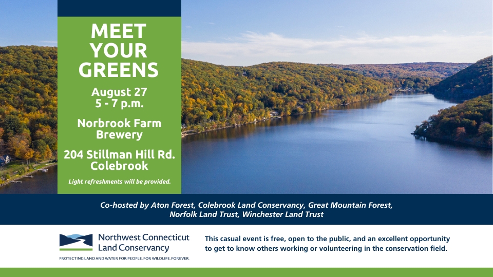 August 2025 Meet Your Greens