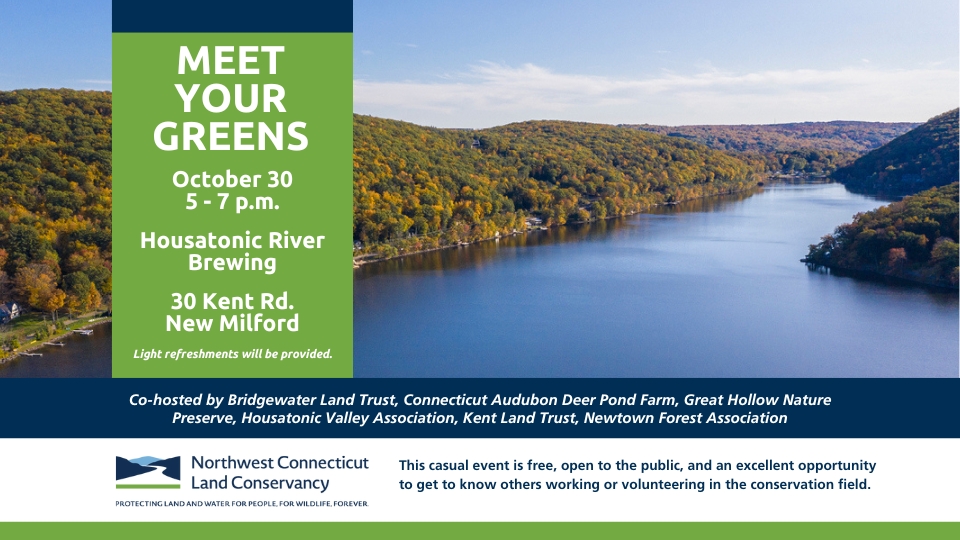 Oct 2025-Meet Your Greens