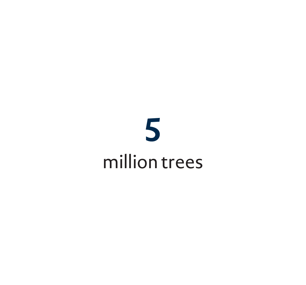 5 Million Trees