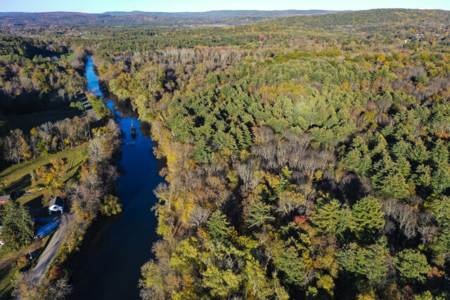 Forest adjacent to the Housatonic River in North Canaan, Connecticut.