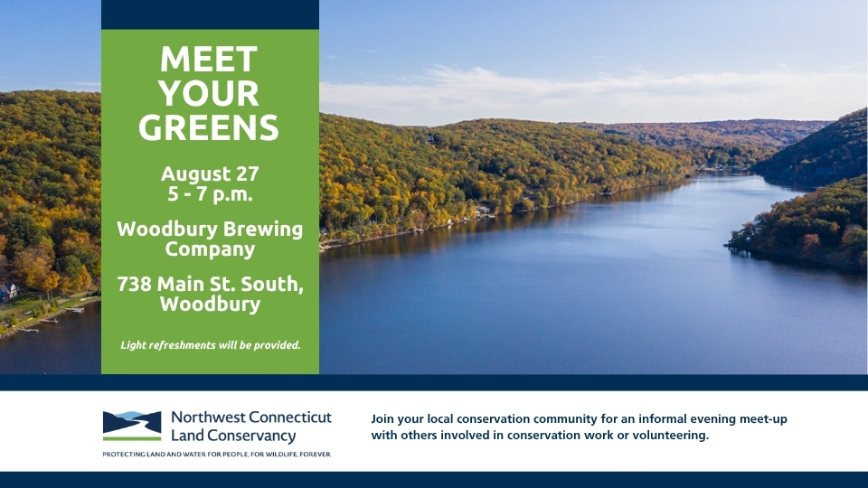 August 2026 Meet Your Greens