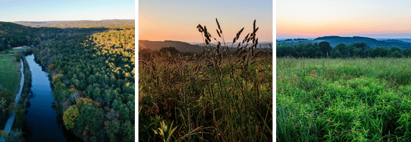 Legacy society landscape images