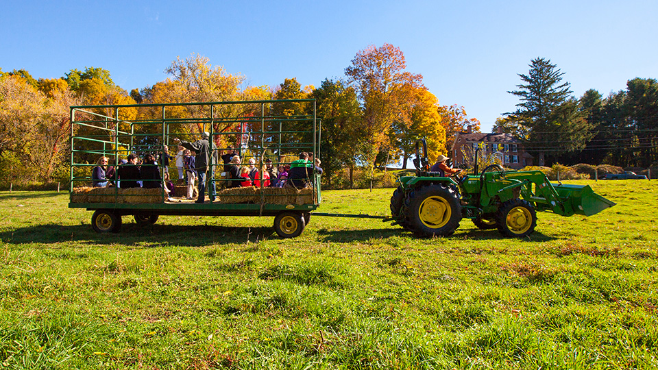 Families enjoying a hayride at the annual picnic