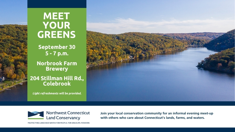 Meet Your Greens at Norbrook Farm Brewery