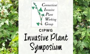 2026 CIPWG Invasive Plant Symposium